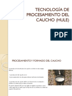 Tecnología de Procesamiento Del Caucho (Hule)