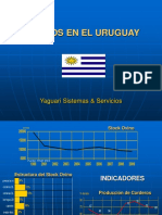 Ovinos Uruguay