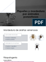 17.-Piquetes y mordedura por animales ponzoñosos.pdf