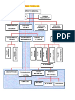 Organigrama Modelo