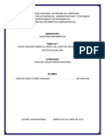 Perfil Del Auditor Informatico PDF