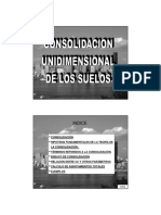 10 Consolidacion PDF