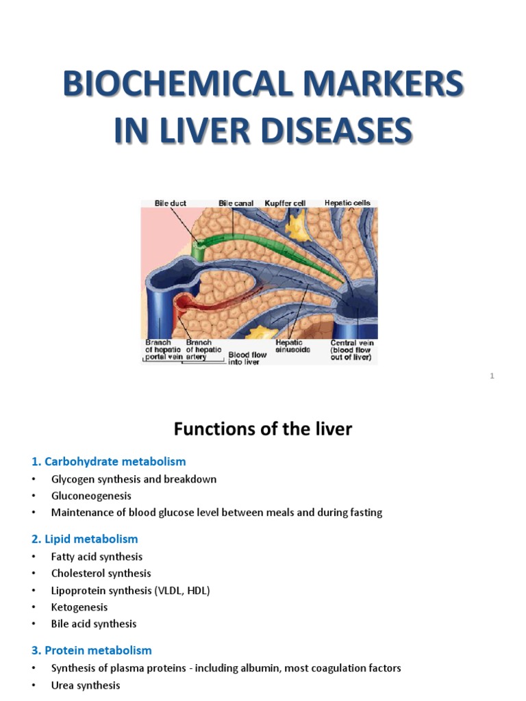 Liver Disease Biochemical Markers | PDF | Renal Function | Creatinine