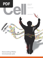 Cell 100806