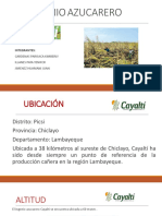 Ingenio azucarero Cayaltí: producción y rendimientos