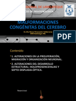 Malformaciones congénitas cerebrales parte 1