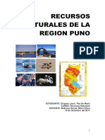 Recursos naturales y actividades económicas de Puno