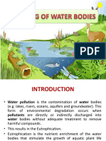 Cleaning of Water Bodies