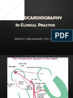 dr. Windhy - Daily ECG.pptx