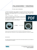 enzimas Y CATALIZADORES.pdf