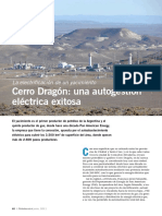 CerroDragon.pdf