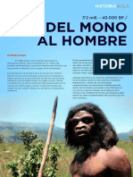 Del Mono Al Hombre