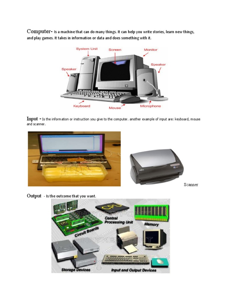 Understanding Computer Basics and Functions | PDF