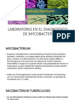 laboratorio clinico de mycobacterium