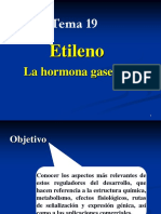 Tema 19. Etileno