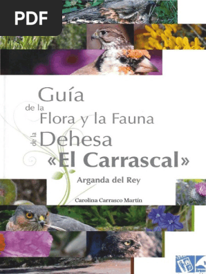 Guia De La Flora Y La Fauna De La Dehesa El Carrascal Horticultura Y Jardineria Botanica scribd