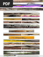 Abelhas Do Seu Quintal , AdrianaTiba