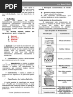 Resumo - Histologia
