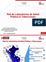 07 Red de laboratorio de TB.pdf