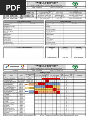 Weekly Report Asli -Edit 2