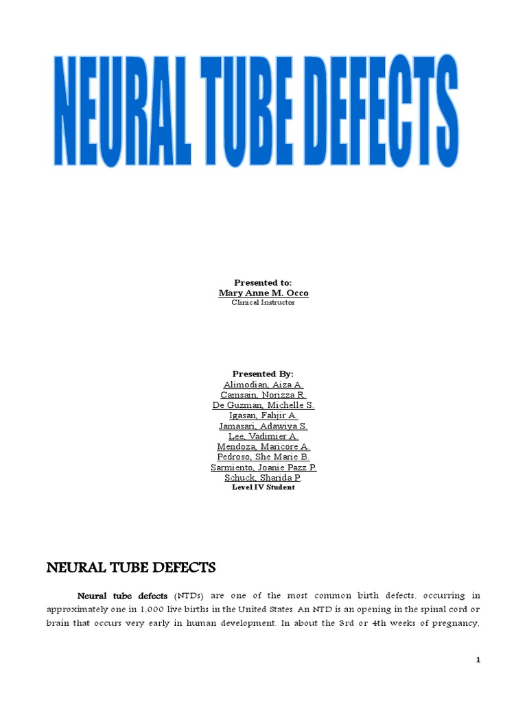 Understanding Neural Tube Defects | PDF | Anatomy | Neurology