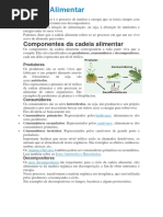 Cadeia Alimentar