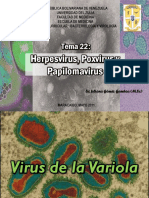 64032770-TEMA-22-Poxvirus-y-virus.pdf