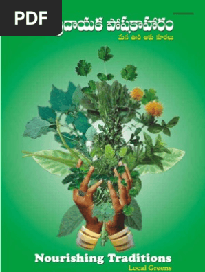 Re6006 Digestion Nutrition