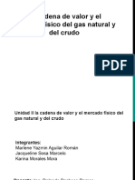 Diapositivas Pacheco