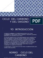 Ciclo Del Carbono y Oxigeno