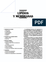 CAPITULO 11.pdf