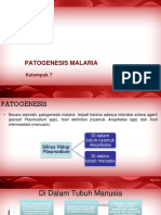 Cara Mengatasi Malaria Secara Alami