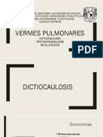 Presentacion Vermes Pulmonares