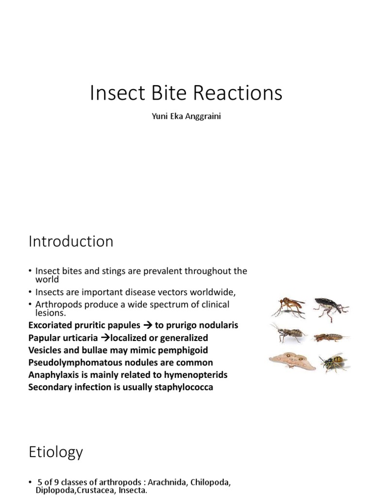 Insect Bite Reactions Yuni Eka Anggraini Pdf Cutaneous Conditions