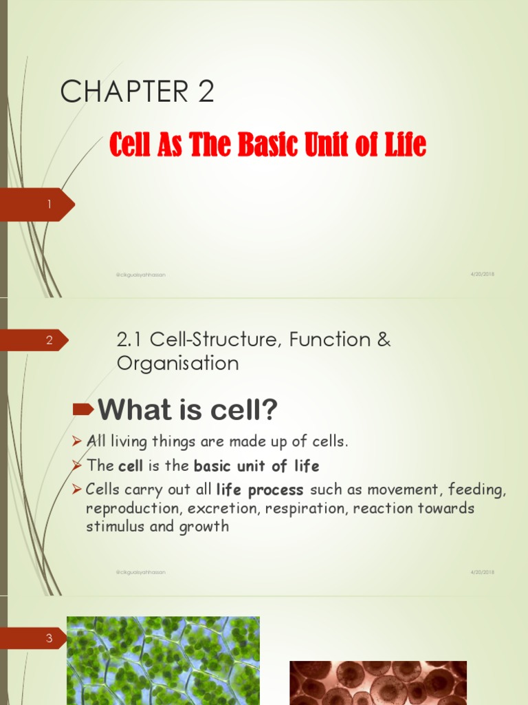 CHAPTER 2: Science Form 1 | PDF | Photosynthesis | Cellular Respiration