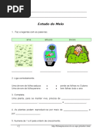 Estudo Do Meio_Plantas