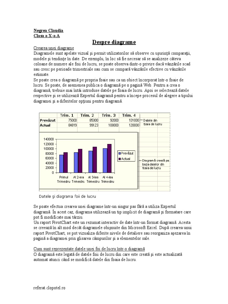 Excel Diagrame | PDF