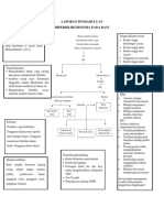 3 LP Hiperbilirubinemia