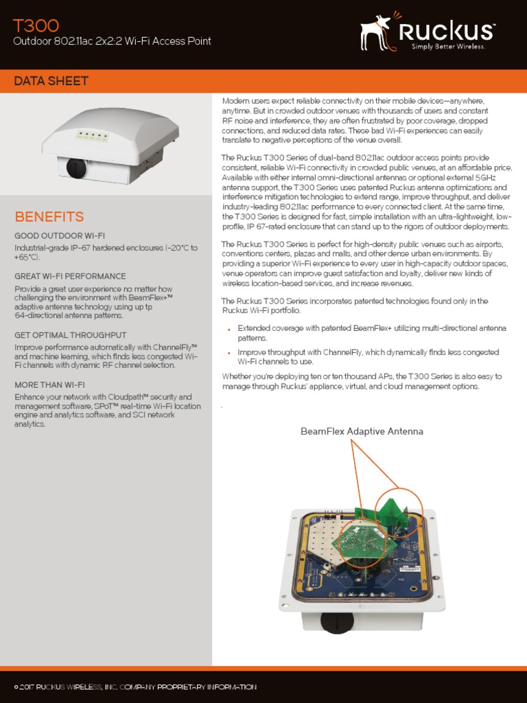Ds Ruckus t300 Series | Wi Fi | Ieee 802.11