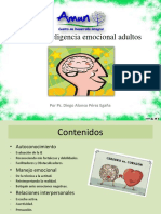 Taller Inteligencia Emocional Adultos.