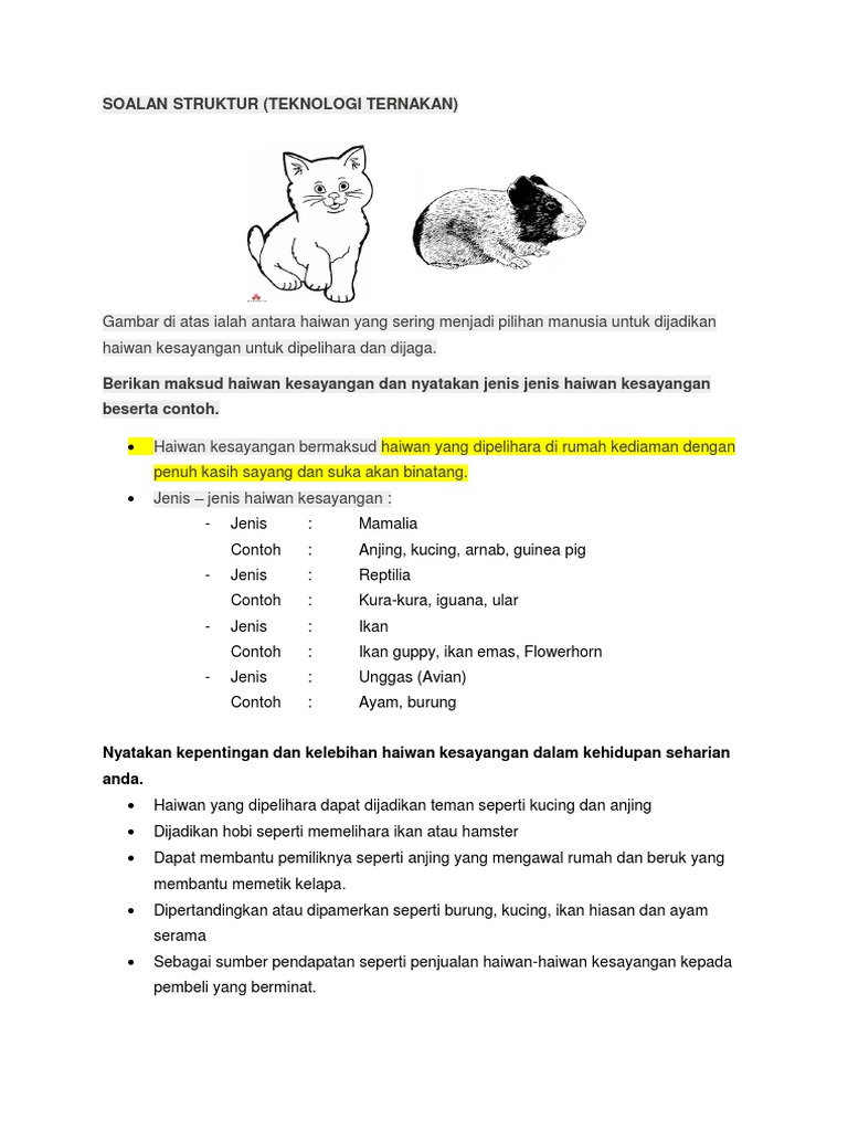 Contoh Laporan Projek Rbt Tingkatan 3 Complete Pdf Pendahuluan Contoh Laporan Rbt Haiwan Kesayangan