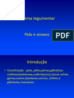 Sistema tegumentar: estrutura e funções da pele e anexos