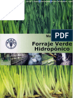 Forraje Verde Hidroponico