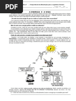 Ft - Import Alimentos 1