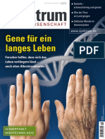 Spektrum Der Wissenschaft 2006-10 PDF