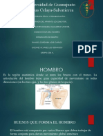 Biomecanica Del Hombro