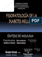 Diabetes Mellitusmatias