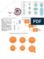 Clasificación de Virus