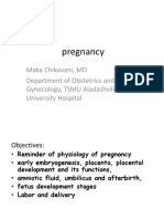 Pregnancy Presentation