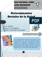 Determinantes Sociales PDF